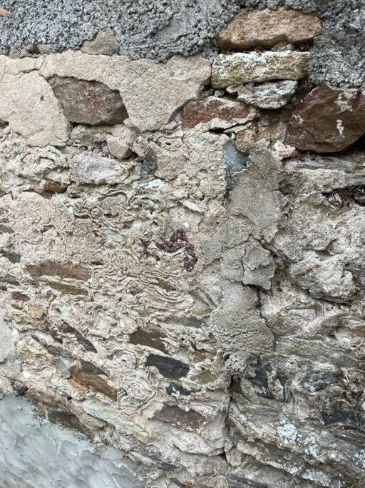 Maisonnette De Pecheur L'Aubraie Exterior foto